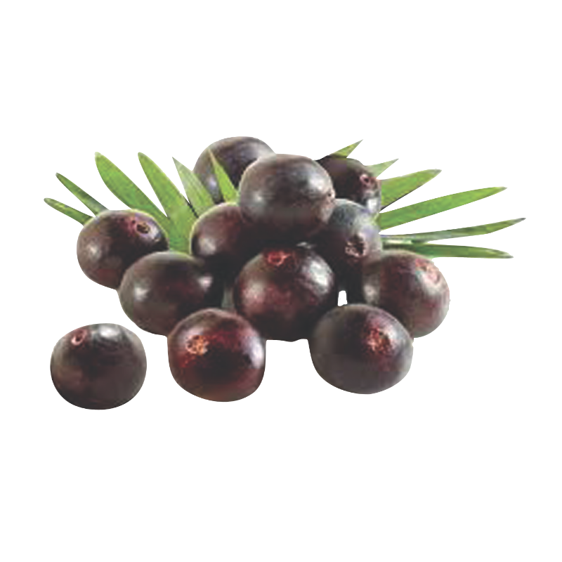 Açaí em pó 1kg