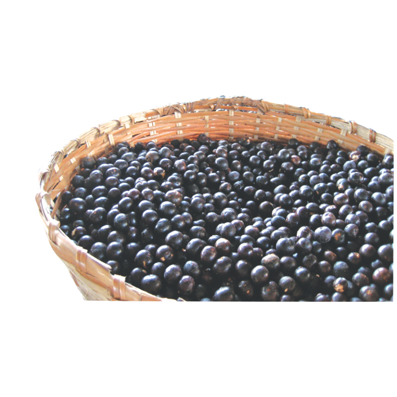 Açaí em pó Puro 500g
