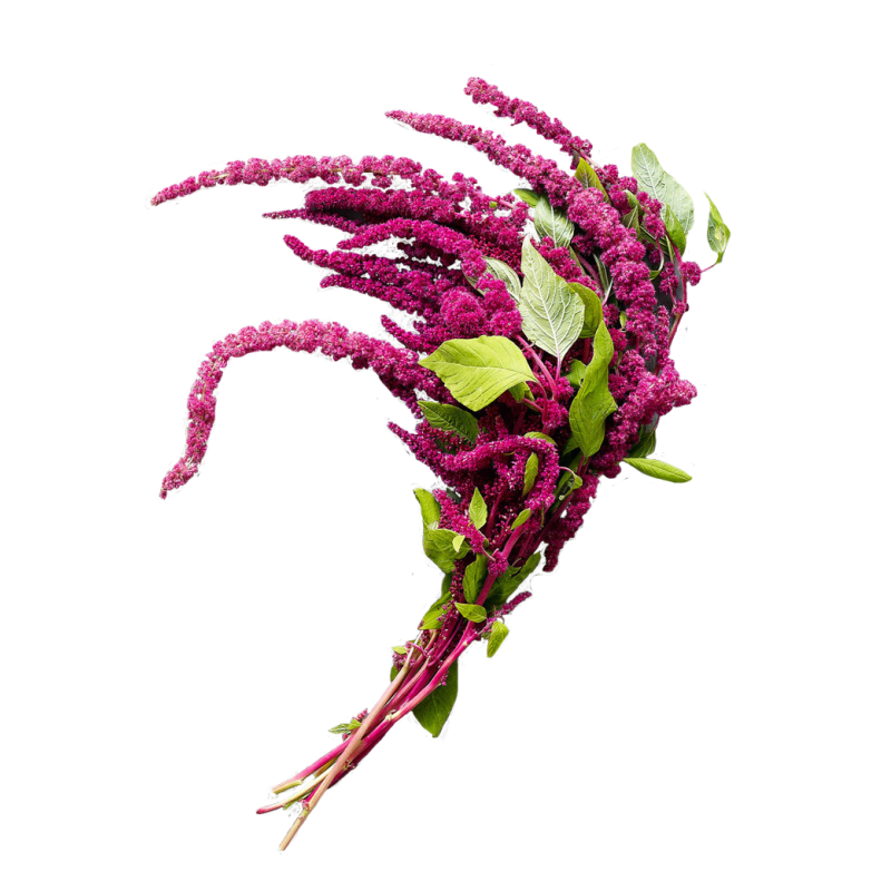 Amaranto Flocos 200g