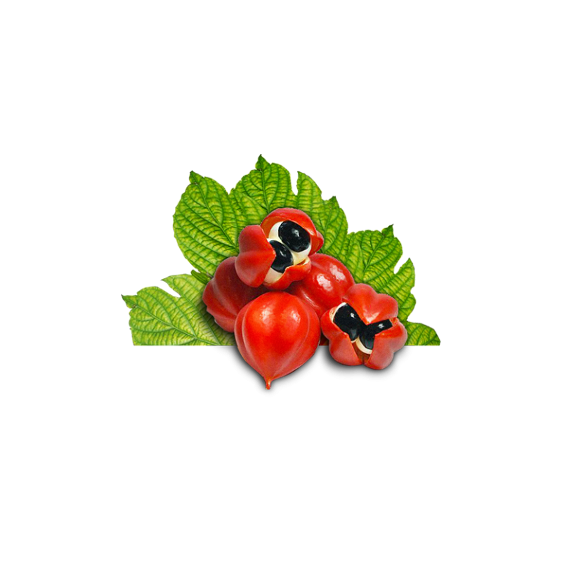 Guaraná em Pó 250g