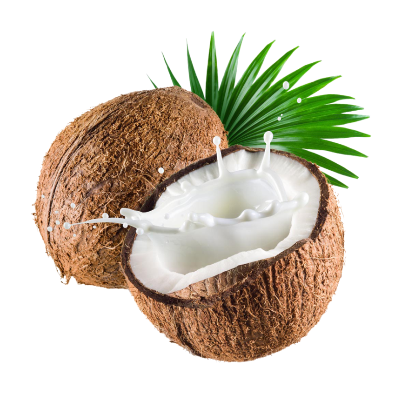 Leite de Coco em pó 200g