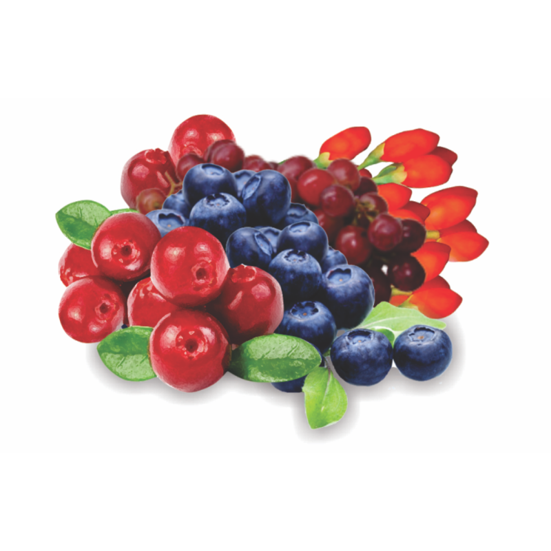 Mix de Super Frutas 100g