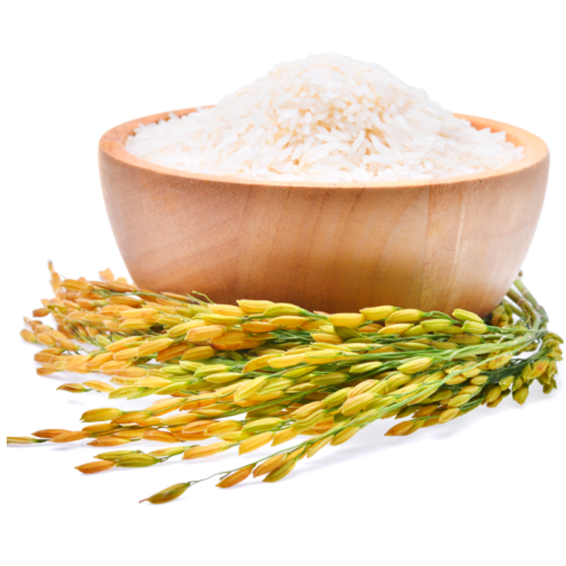 Proteína de Arroz 200g