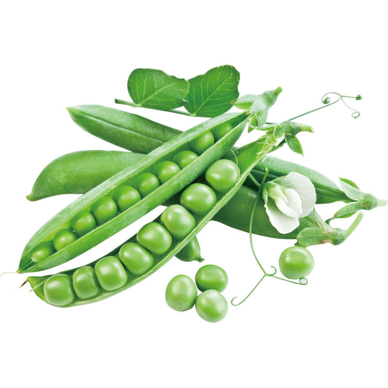 Proteína de Ervilha 200g